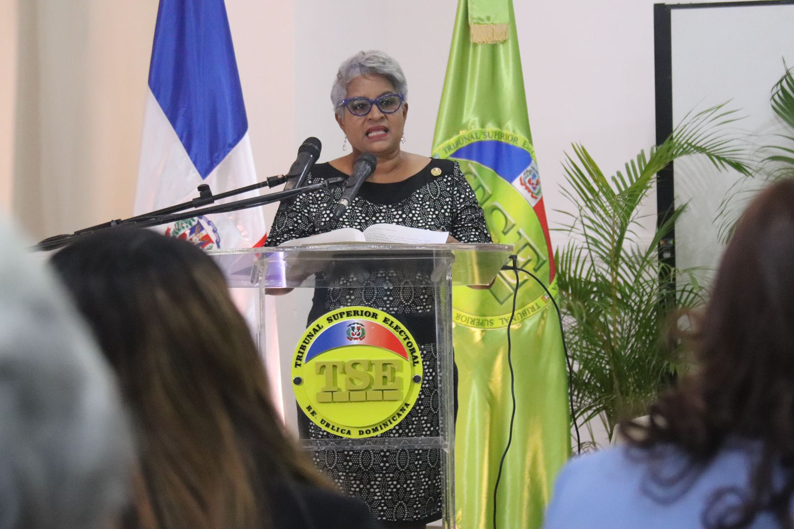 Presidente del TSE plantea seguir recuperando la memoria histórica de la mujer dominicana, como acción renovadora y transformadora de la sociedad dominicana.