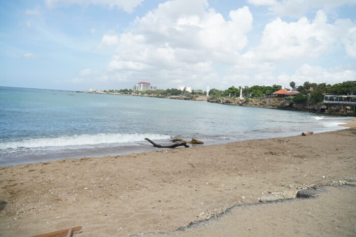 jornada de limpieza en playa Montesino